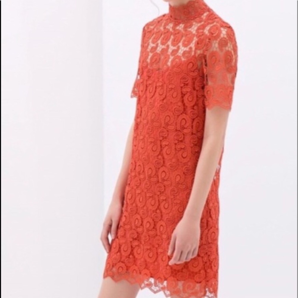Zara Crochet Lace Dress